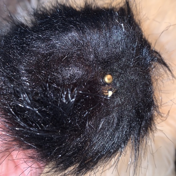 Hand knot toque removable pom NWOT - Picture 6 of 6